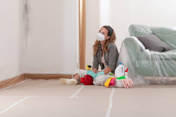 Reliable Mold Removal contractor in Flower Mound, TX by Car Mold Remediation